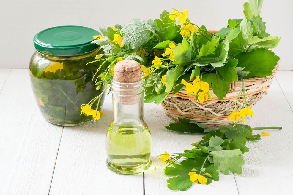 Infusioa, olioa eta zelandina jaso berria behatzeko iltze onddoetarako